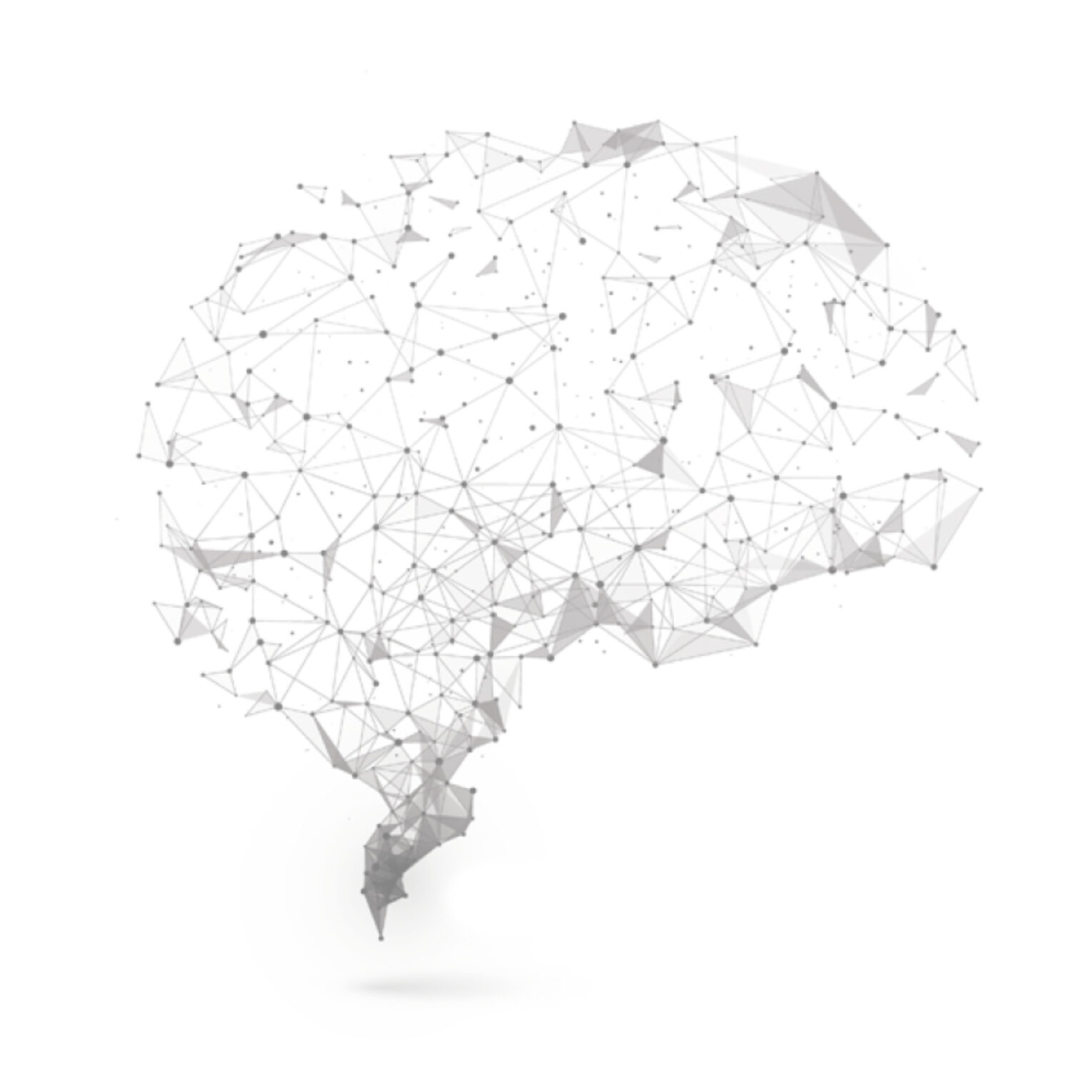 brain